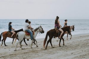 רכיבה על סוסים בחופי זנזיבר - מה צריך לדעת