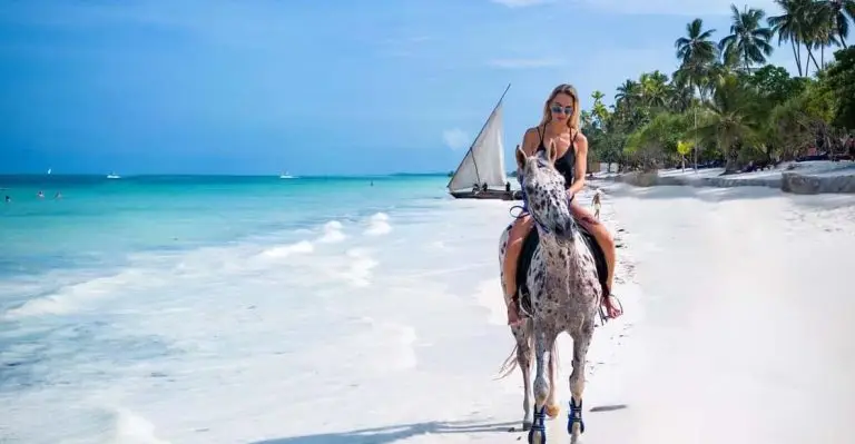 Zanzibar: Swimming With Horse and Clear Kayaking Tour